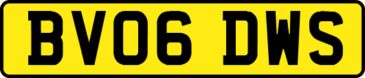 BV06DWS