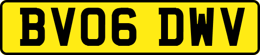 BV06DWV