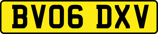BV06DXV