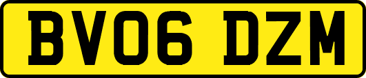 BV06DZM