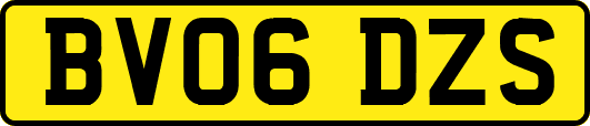 BV06DZS