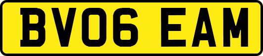 BV06EAM
