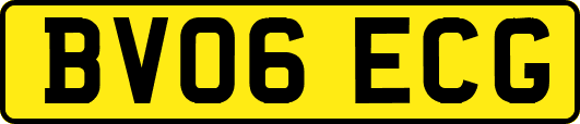 BV06ECG