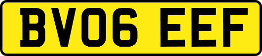 BV06EEF