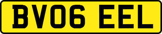 BV06EEL