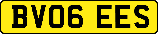 BV06EES