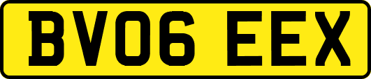 BV06EEX