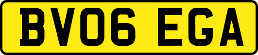 BV06EGA