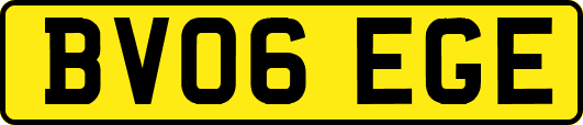 BV06EGE