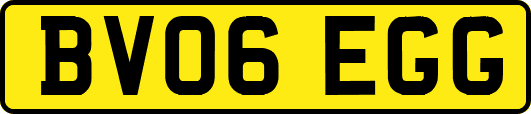 BV06EGG