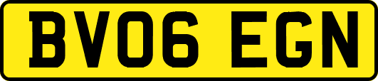 BV06EGN