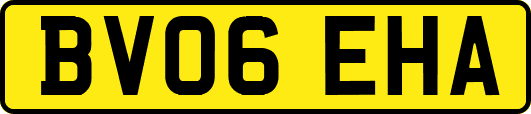 BV06EHA
