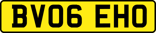 BV06EHO