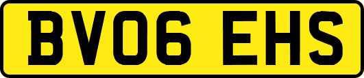 BV06EHS