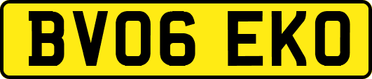 BV06EKO