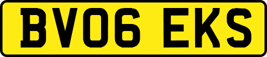 BV06EKS