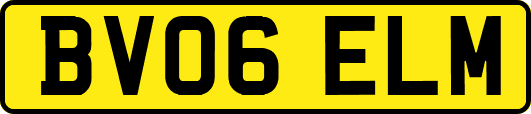BV06ELM