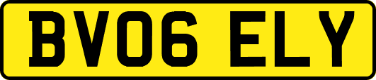 BV06ELY