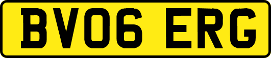 BV06ERG