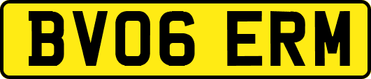 BV06ERM