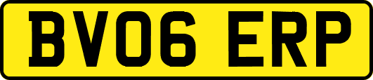 BV06ERP