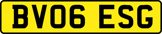 BV06ESG