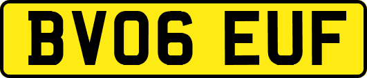 BV06EUF