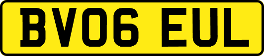 BV06EUL