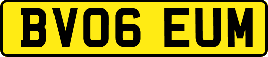 BV06EUM