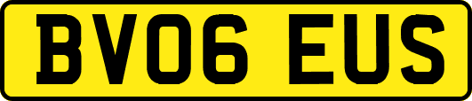 BV06EUS