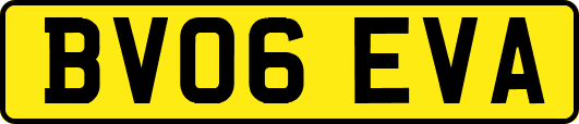 BV06EVA