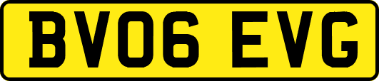 BV06EVG