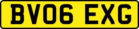 BV06EXG