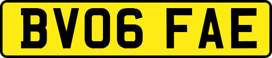 BV06FAE