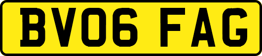 BV06FAG