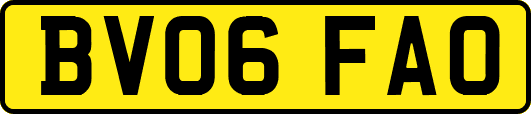 BV06FAO