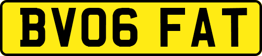 BV06FAT