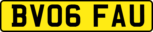 BV06FAU