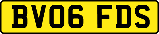 BV06FDS