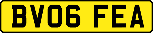 BV06FEA