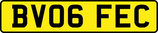 BV06FEC