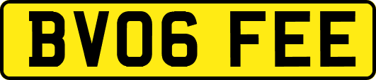 BV06FEE