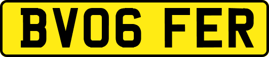 BV06FER
