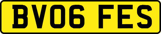 BV06FES