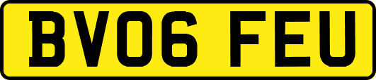 BV06FEU