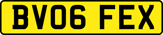 BV06FEX