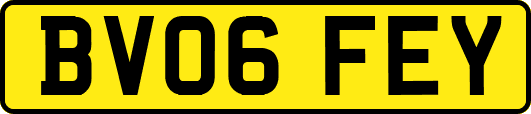 BV06FEY