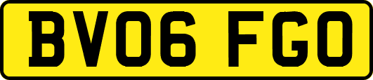 BV06FGO