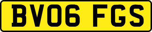 BV06FGS