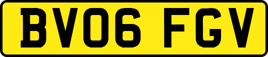 BV06FGV